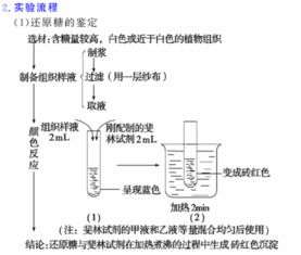 鉴定生物组织中某种有机物的存在时,如何鉴定有机物种类 高一生物 