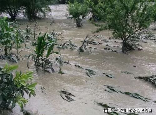 四川洪涝灾害
