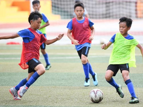 给更多孩子一个追梦机会 解读中国足协全国青少年足球联赛竞赛方案