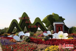 930余座花坛扮靓京城,北京成了花的海洋