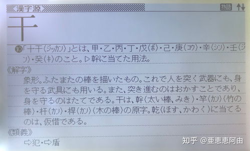 10天干12地支顺口溜