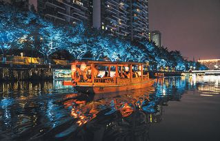 锦江绿道开启成都夜游新业态 春节实现 夜游锦江 初体验