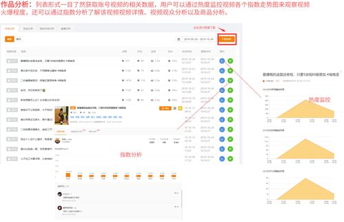 免费测五行八字查询器