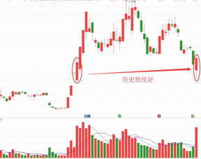 股市7月19日涨停股票一览