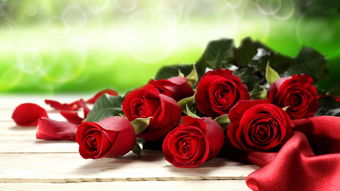 玫瑰送19朵好还是33朵好 男人送女人19朵红玫瑰