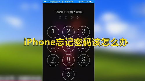 iPhone忘记密码该怎么办 