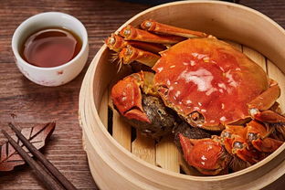 螃蟹公的好吃还是母的好吃,这个季节螃蟹公的好吃还是母的好吃