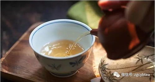 想搜罗国内顶级乌龙茶 这6句寻茶口诀胜过老茶鬼20年的寻茶经验
