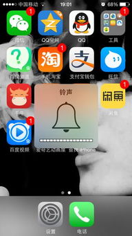 我记得iphone按音量键是调整音量吧,为什么我按了会这样 知道的请帮帮我 