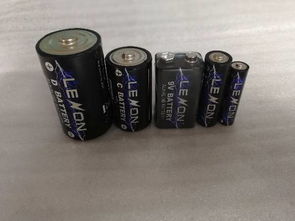 干电池都有些什么型号 