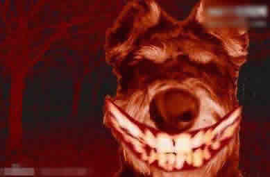微笑狗是什么梗 微笑狗恐怖在哪里及来源,微笑狗图片 