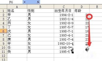 excl用datedif函数根据出生日期计算年龄 