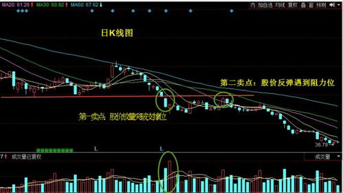 股价跌破多条支撑线  却不大跌是什么情况