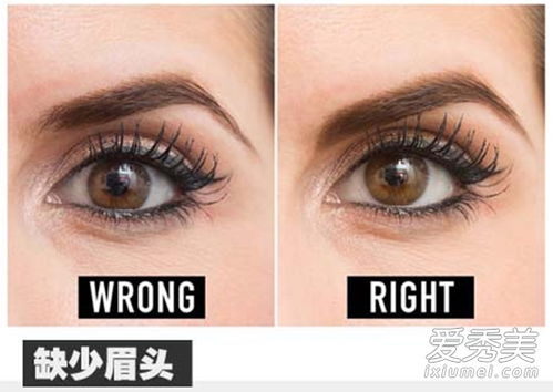 每个女人在画眉毛时都会犯8个错误 修正图 