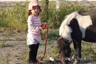 小手牵小马 小小王国带您体验最高雅的马术运动 仅限小小王国的正式会员报名,体验价仅99元,火热进行中 