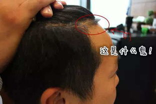 男人要小心 去剪头发一定要知道这些,别让理发师毁了你
