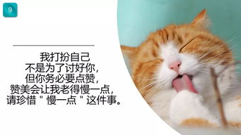6月6日中国爱猫日,寻找66家宠物医院为666只猫咪免费体检