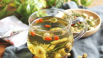 菊花茶的功效与禁忌 菊花脑的功效与作用及禁忌，如何正确健康的食用菊花脑？ 