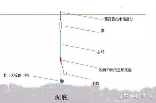 2023年钓鱼小编建议