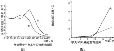 自然条件下.生态系统能够在较长时间内维持相对稳定.其主要原因是 A.生态系统具有一定的自我调节能力B.生态系统的营养结构简单C.物质循环能持续进行D.能量流动能持续进行 