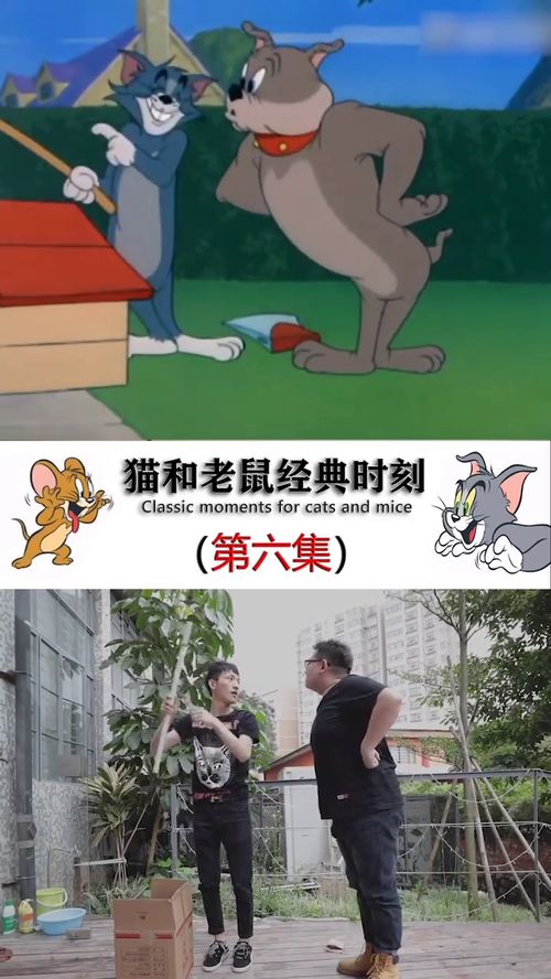 猫和老鼠真人版,斯派克的表演太精彩了,看完就想笑 