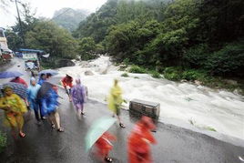 8月份青岛15条河流发大水 旱涝分布不均 图