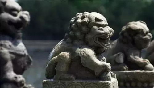 古代衙门口的一对狮子有何寓意 为何不放彰显凶猛的老虎呢