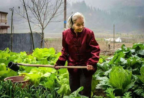 在农村,六七十岁的老人是如何养老的 一个月多少钱才够用