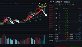 三峡水利近一个月股票都不涨，公司要垮台了呀？