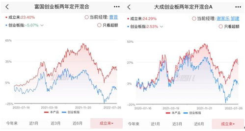 中欧基金公司