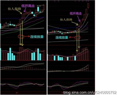 什么是仙人指路啊?为什么要叫他仙人指路?什么又是屏风马啊?为什么叫他屏风马?