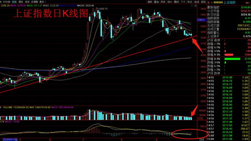 股指数是怎样确定出来的？