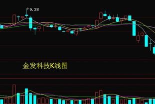 大家如何看待明天金发科技（600143）走势