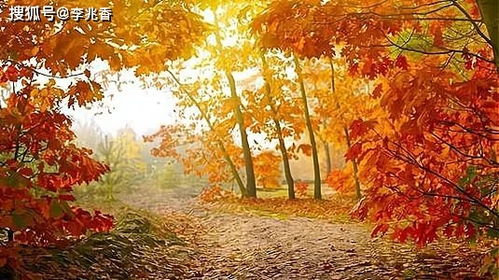 关于秋天的景色诗句