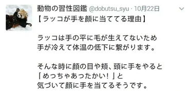 日本博主的动物习性冷知识小课堂,网友 可爱到想把所有动物打包回家