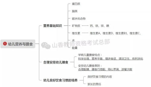 综合素质 教育知识进阶提分第10天