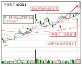 老鸭头形成后短期行情涨幅有多少