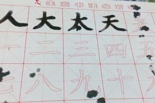 初学者怎样练毛笔字 