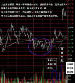 到底是说“一支股票”还是说“一只股票”？