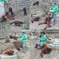 野生动物园有免费停车场吗青岛小珠山野生动物园停车费怎么收的