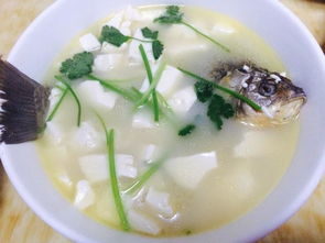 鲫鱼豆腐汤的做法大全家常菜功效与作用 鲫鱼豆腐汤炖多长时间怎么做 2
