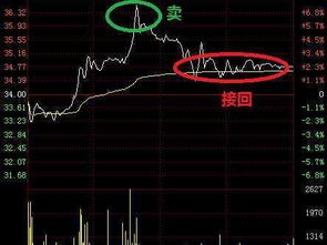 中国股市史上最全T 0绝招 最简单又最难把握,浮盈看得一清二楚 值得学习