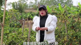 美女跟男朋友去广东打工,两个月不到就分手了,因男子整天喝酒夜不归宿