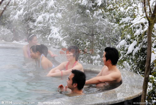 冬季旅游好去处,秋水带您泡温泉 每周六 周末