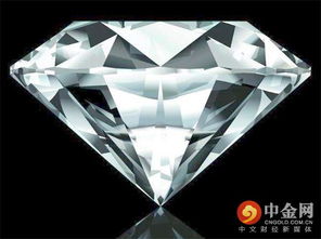 游客吞盗钻石被捕 价值600万卢布钻石被偷梁换柱 