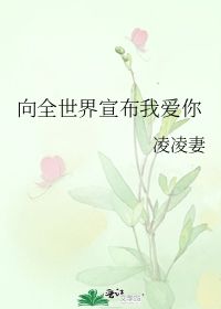 向全世界宣布我爱你 凌凌妻 