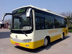 东莞巴士公司和东莞公交公司 东莞城巴这个运行的车有什么区呢 