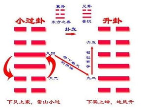 2022年7月19日上午十点三十二分卜卦 求子主卦为升卦 变卦为大壮卦 怎么解？