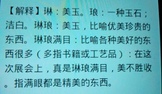 琳琅满目的意思和步履匆匆的意思 