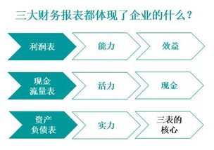 如何分析一个上市公司的概况，从三大财务报表分析其经营状况